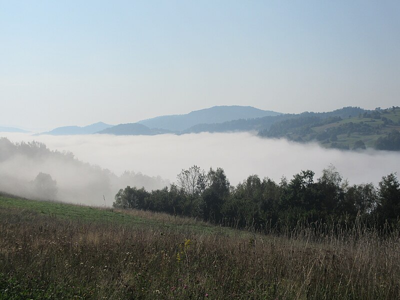 File:Sea of clouds Piwniczna.jpg