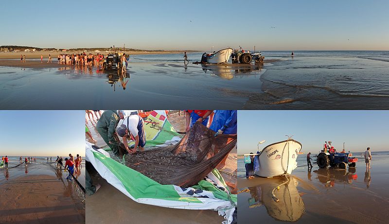 File:Seine fishing in Portugal, at Praia da Saúde beach, Costa da Caparica (2).jpg