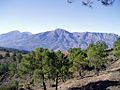 Miniatura para Sierra de Alcaparaín