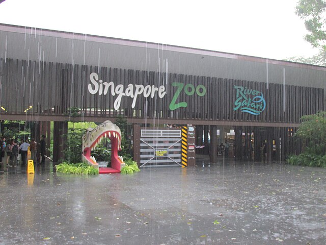 640px-Singapore_Zoo_courtyard_heavy_rainfall_Nov_2016.jpg (640×480)