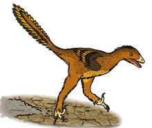 Life restoration of sprinting Sinovenator. Sinovenator (update).png