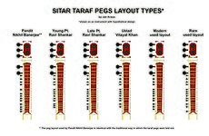 Preferences of taraf string and peg positioning and their total number