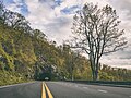 "Skyline_Drive_(Unsplash).jpg" by User:Fæ