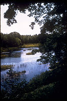 Sleeping Bear Dunes National Lakeshore SLBE0401.jpg