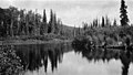 Slough in valley between Kahiltna River and Lake Creek, Alaska, July 1914 (AL+CA 3516).jpg