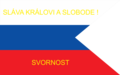 Ďalšia zo zástav Slovákov používaná počas revolúcie. Vlajka s týmto poradím farieb bola ustanovené v roku 1868 ako vlajka Slovákov. Vo veľkom ju používali Slováci žijúci v Amerike a americké slovenské spolky.