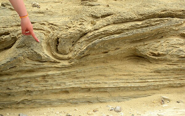 Soft sediment deformation (possibly a seismite) in Dead Sea sediments, Israel