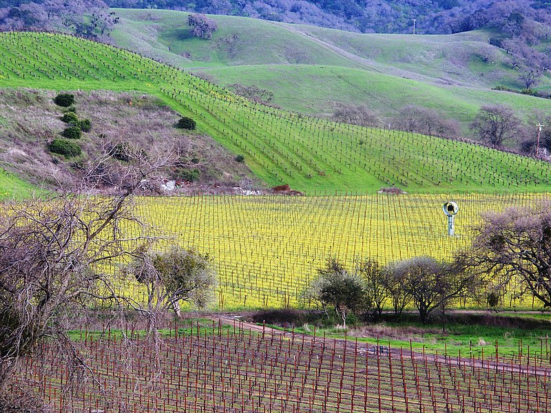 File:Solano Hills in Spring - panoramio.jpg
