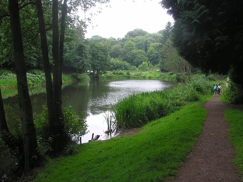 File:Soudley Ponds close to the Heritage Centre - July 2011 - panoramio.jpg