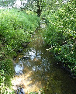 Spitzkunnersdorfer Bach Oderwitz 04. 08. 2010 00.jpg