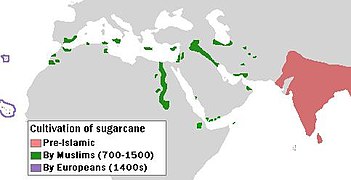 Extension de la canne à sucre dans le monde musulman (vert) et dans les premières colonies péninsulaires (violet) à partir du monde indien (rouge) au Moyen-Âge.