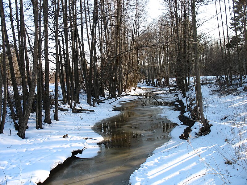 File:Spring river - panoramio.jpg