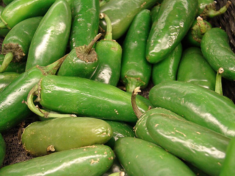 File:Starr 070730-7841 Capsicum annuum.jpg