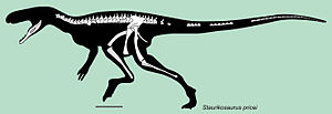 Thumbnail for File:Staurikosaurus skeletal.jpg