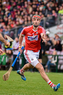 Stephen McDonnell (hurler) Irish hurler