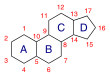 Numbering of carbon atoms up to position 17 in a hypothetical steroid nucleus Steroid numbering to 17 ABCD.svg