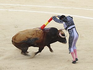 A banderillero szerepe szerint színes papírral bevont, horgos végű banderillákat szúr a bika marjába, három alkalommal kettőt-kettőt