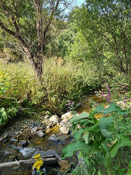 File:Stream near the Ağcakənd village, Kalbajar, Azerbaijan.jpg