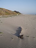 Sunset State Beach bois flotté.jpg