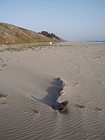 Sunset State Beach