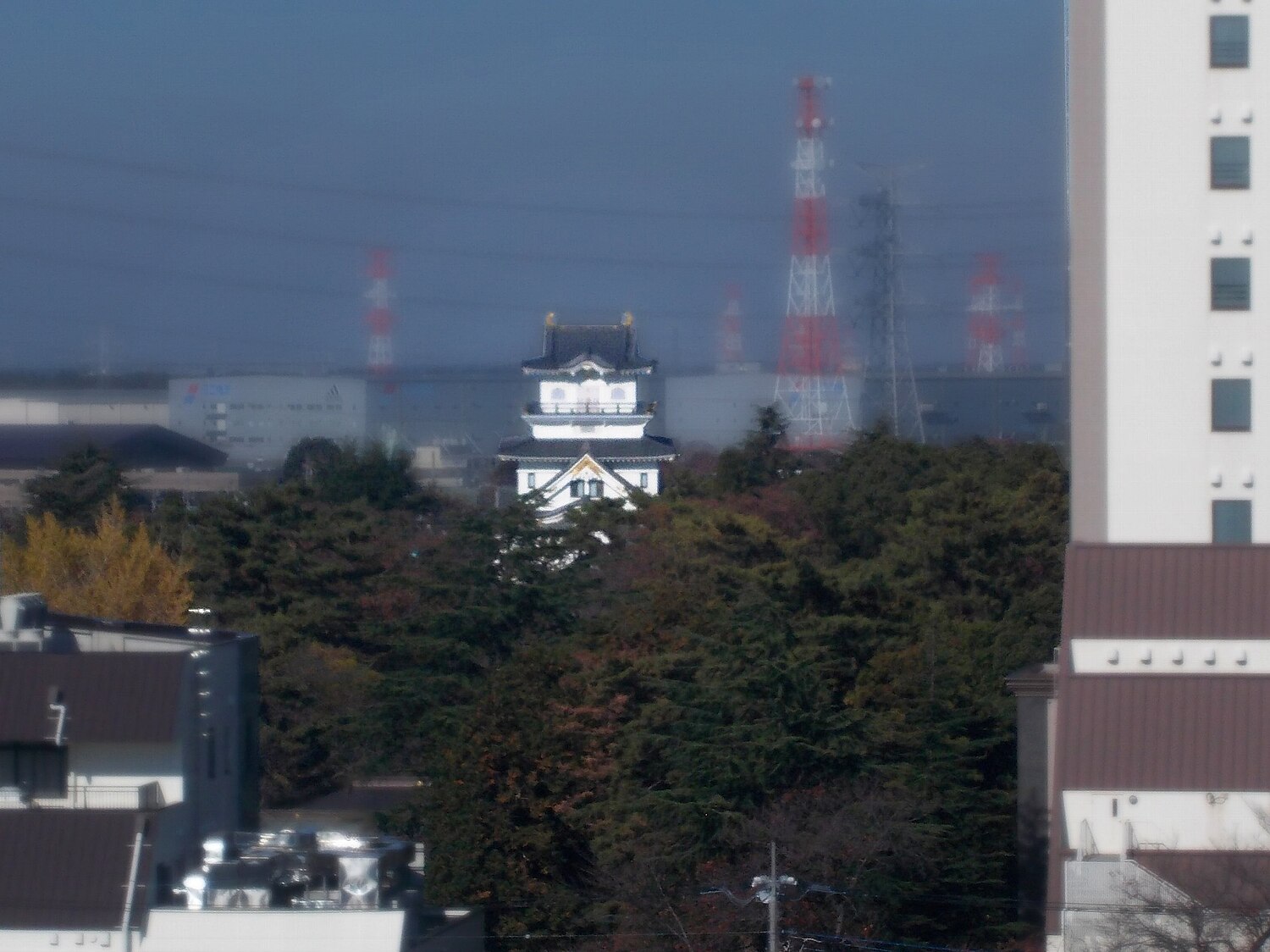 通販半額霊波之光　御聖跡写真集&新礼拝堂落成 その他