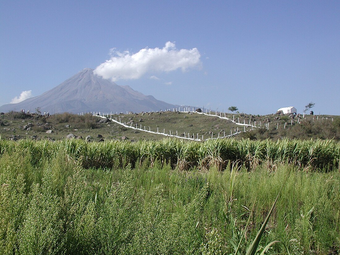 Kota Praja Cuauhtémoc, Colima