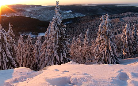 Tập_tin:Thüringerwald.JPG