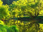 The Green - panoramio (1) .jpg