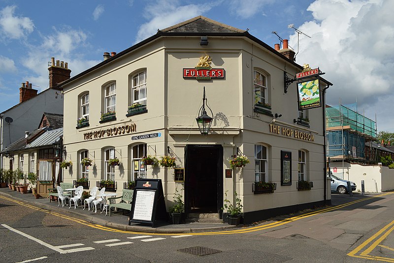 File:The Hop Blossom, Farnham.JPG