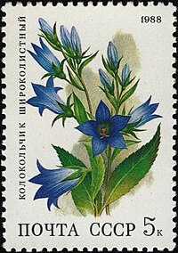 Campanula latifolia on stamp of USSR, 1988 The Soviet Union 1988 CPA 5965 stamp (Deciduous forest flowers. Giant bellflower).jpg