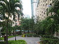 Garden at HDB estate