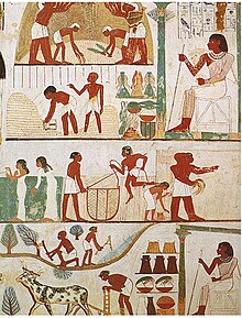 Clothing in the ancient world - Wikipedia