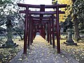 Inari torii
