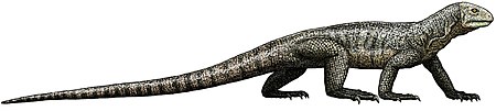 Trilophosaurus buettneri (flipped).jpg