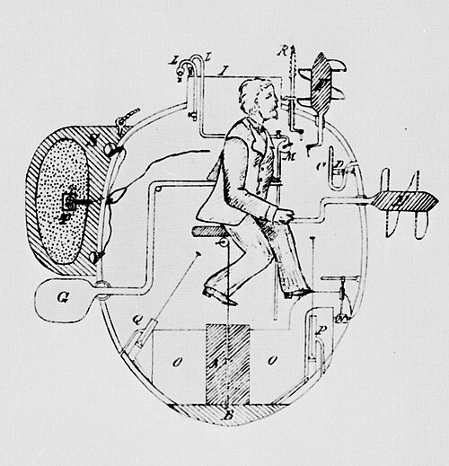 Turtle sketch 1885.jpg