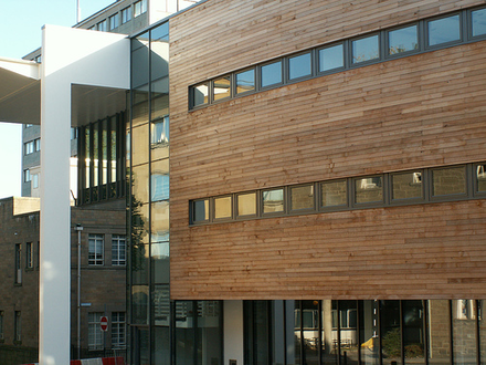Extension to the main library of the university, early 2008.
