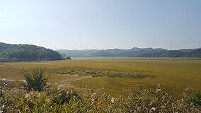 Upo Wetland's Many Colours.jpg