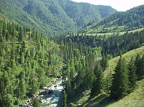 Ursul valley in Altay Rep Ongudaisky distr.JPG