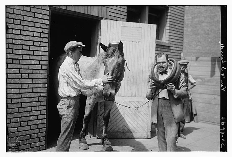 File:Van and Schenck horsing around in 1918.jpg