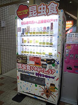 Vending machine of insects canned food