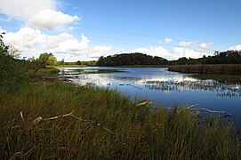 Vetiku Suurjärv