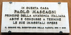 Via fiesolana 12, casa lui paolo mascagni, plaque.JPG