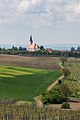 * Nomination View of Vrbice from Kobylí observation tower, Břeclav District, South Moravian Region, Czechia --T.Bednarz 15:41, 24 May 2020 (UTC) * Promotion  Support Good quality. --King of Hearts 16:08, 24 May 2020 (UTC)