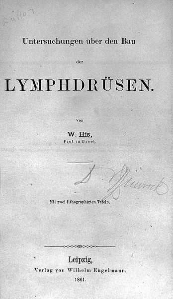 File:W. His, Untersuchungen uber den Bau der Lymphdrusen, 1861. Wellcome L0015587.jpg