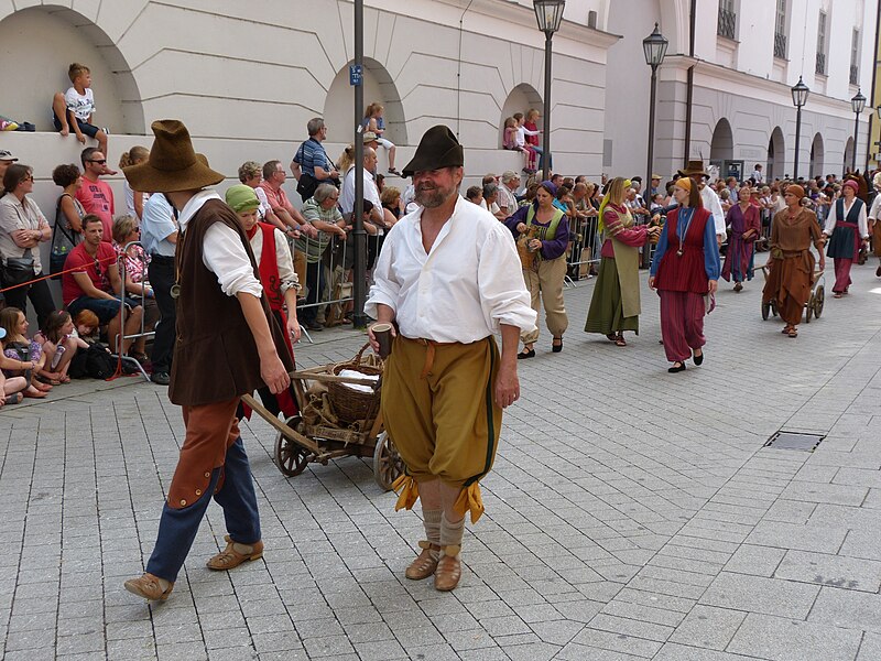 File:Wallenstein 2012 MU131.JPG