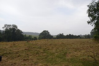 Wansford Pasture