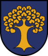 Wappen von Amlach