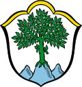 Wappen von Aschau im Chiemgau.svg