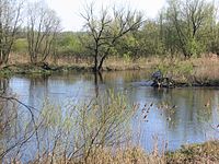 Warta Nadwarcianski Park Krajobr.jpg