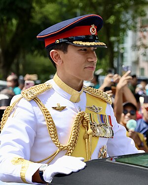 Royal Family Order Of The Crown Of Brunei